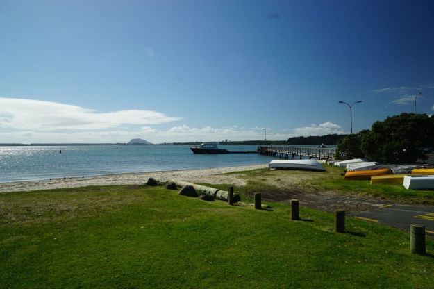 dsc04825_omokoroa