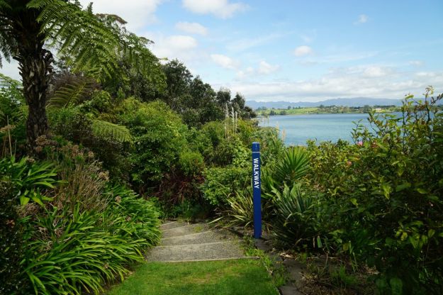dsc04855_omokoroa