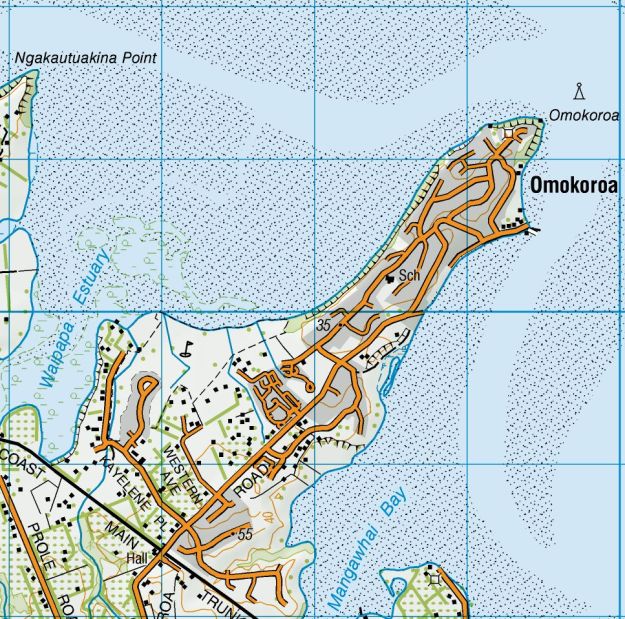 topo_omokoroa
