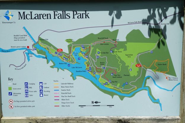 dsc04942_mclarenfalls_rimu