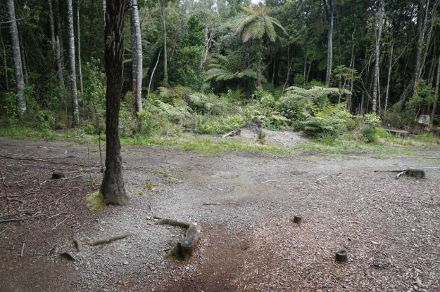 dsc04952_mclarenfalls_rimu