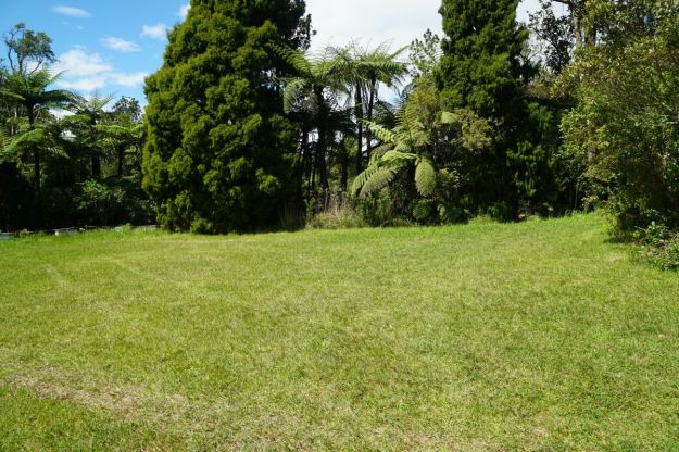 dsc04971_mclarenfalls_rimu