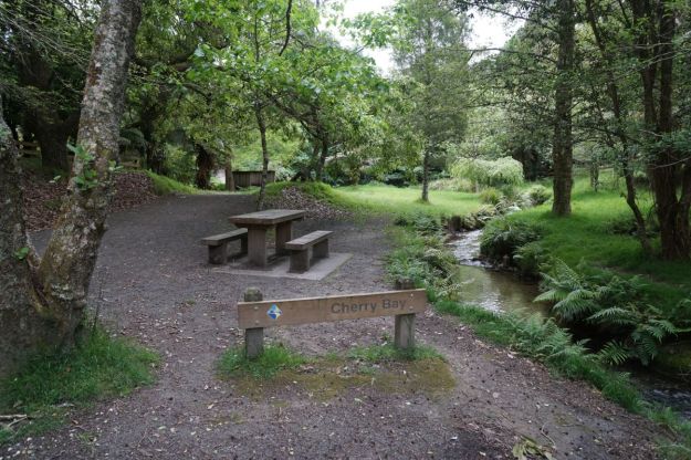 dsc05009_mclarenfallslakesidewaterfall