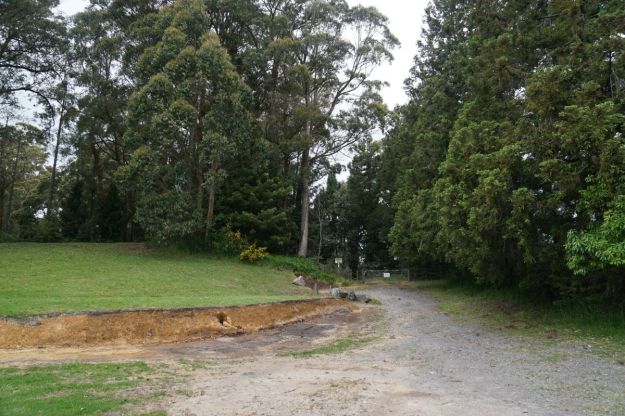 dsc05030_mclarenfallslakesidewaterfall