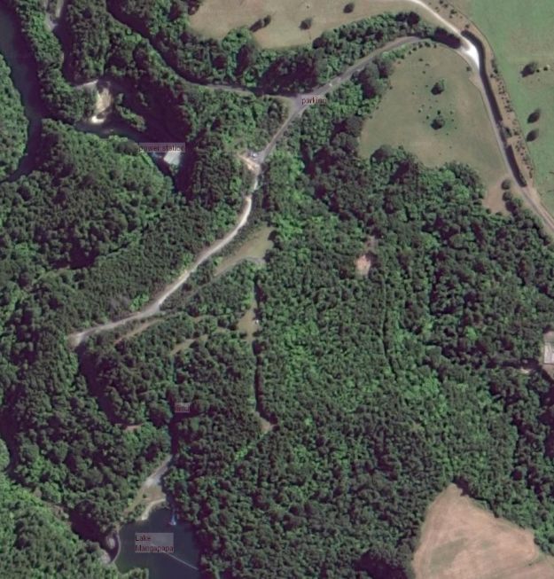 satellite_mclarenfalls_rimu