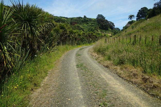 dsc05663_onekawatemawhai