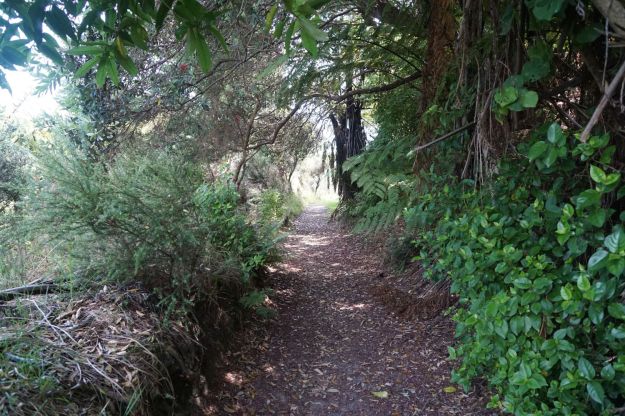 dsc05686_onekawatemawhai