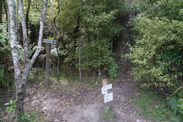 dsc05702_onekawatemawhai