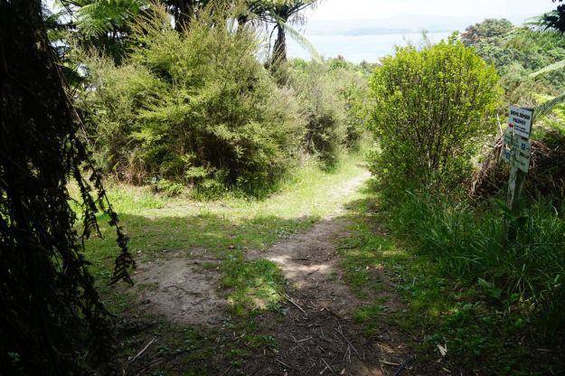 dsc05715_onekawatemawhai