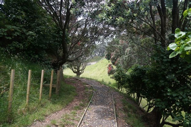 dsc05718_onekawatemawhai