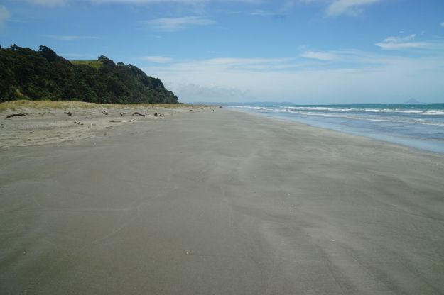 dsc05721_onekawatemawhai