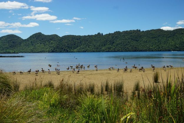 dsc05857_lakeokareka