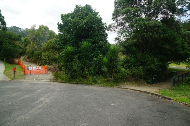 dsc05861_waihibeachnew