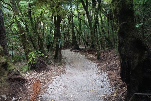 dsc05869_waihibeachnew