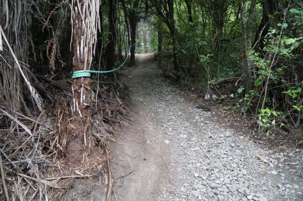 dsc05871_waihibeachnew