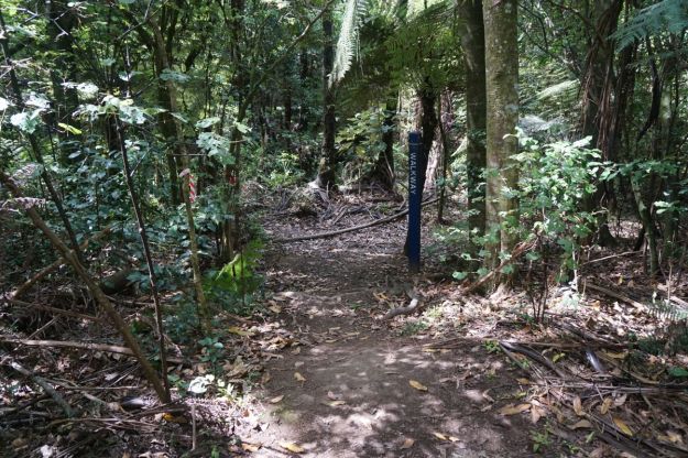 dsc05883_waihibeachnew