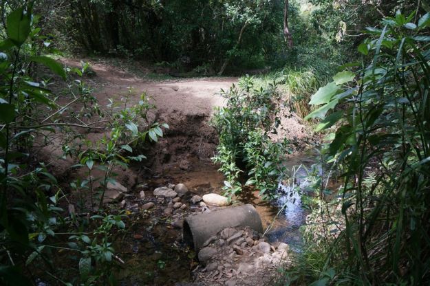 dsc05884_waihibeachnew