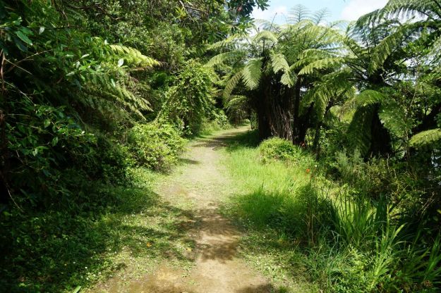 dsc05887_waihibeachnew