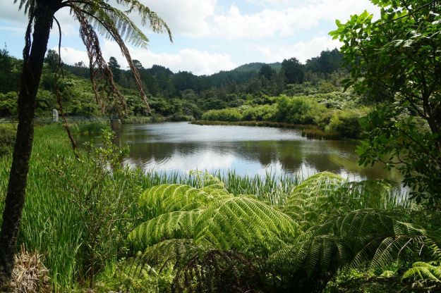 dsc05889_waihibeachnew