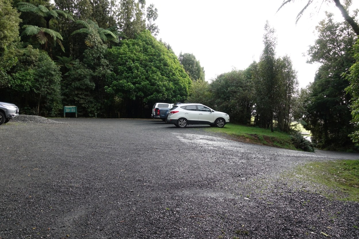 Tirohanga Track to Ruapane Trig, Pirongia | motowalknz