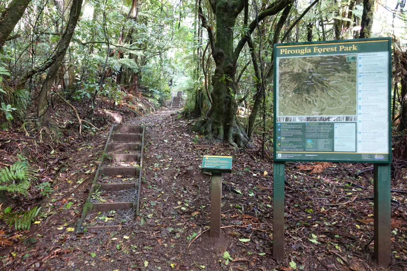 Tirohanga Track to Ruapane Trig, Pirongia | motowalknz