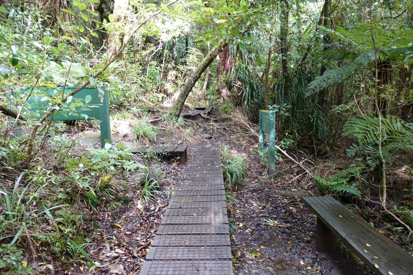 Tirohanga Track to Ruapane Trig, Pirongia | motowalknz