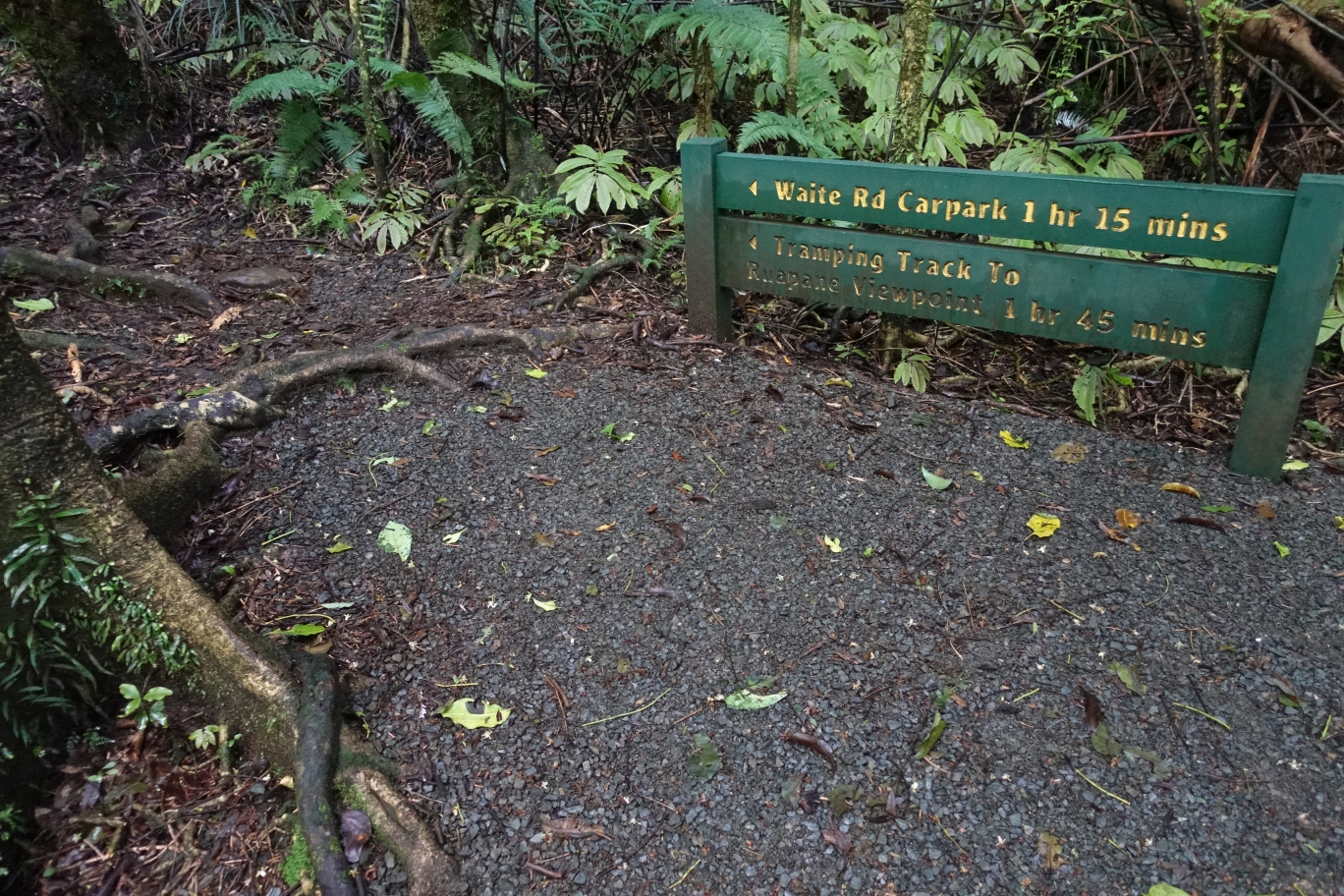 Mangakara Nature Walk, Pirongia | motowalknz