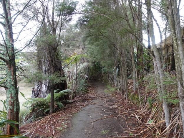 MacMillan Reserve and Tamawhariua Reserve, Katikati | motowalknz