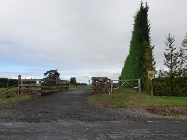 MacMillan Reserve and Tamawhariua Reserve, Katikati | motowalknz