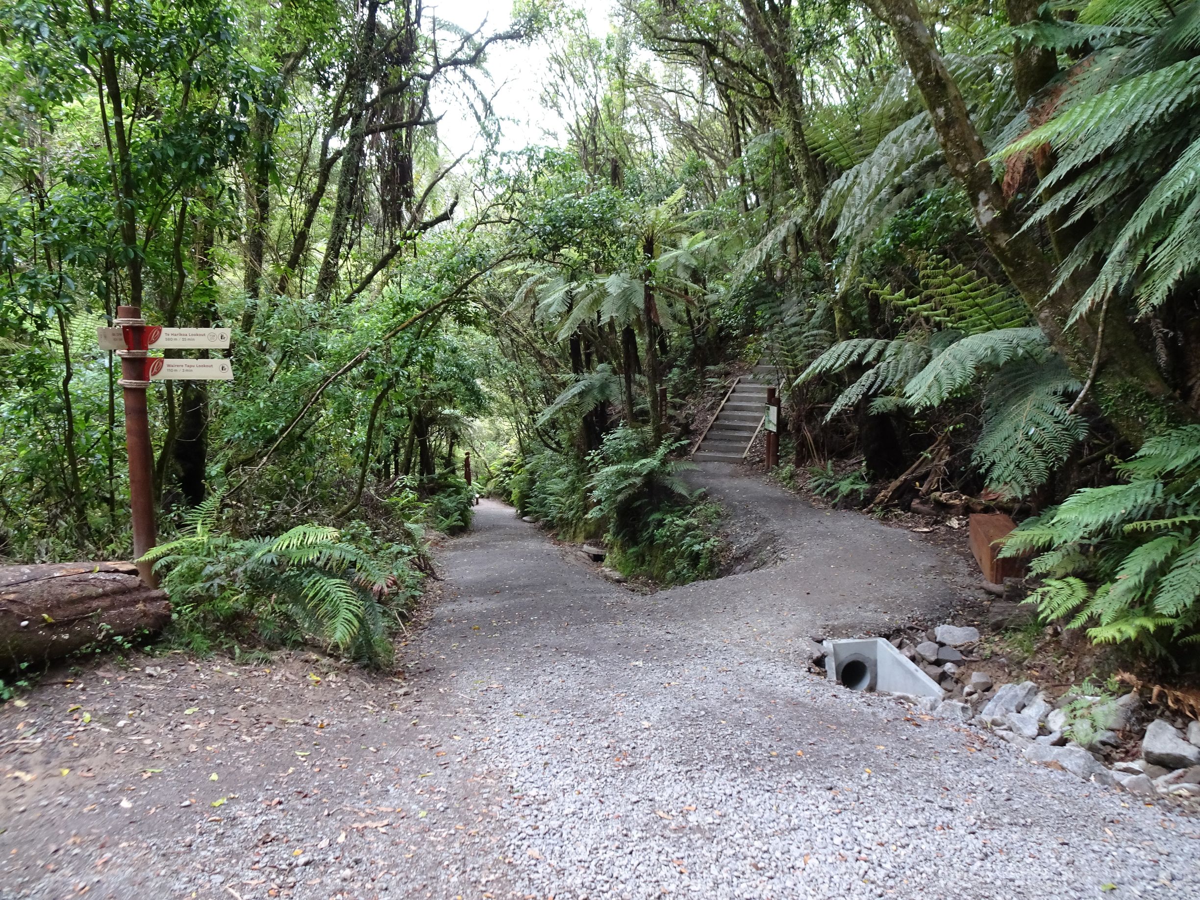 Te Rere o Ōmanawa/Ōmanawa Falls (Update) | motowalknz