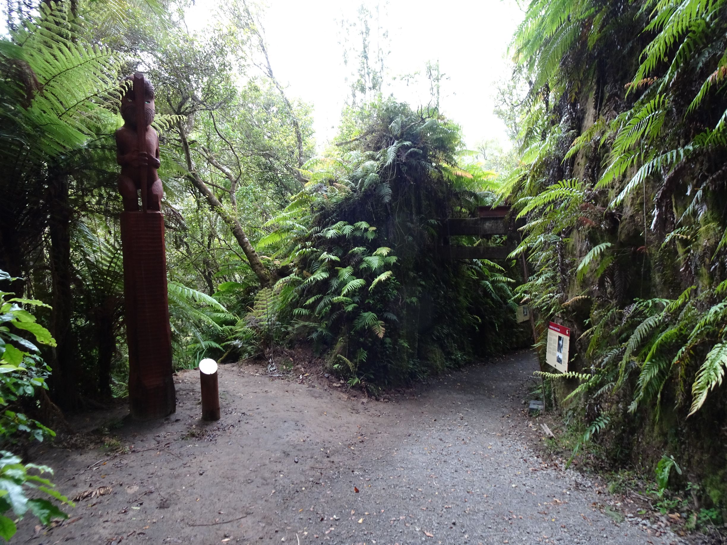 Te Rere o Ōmanawa/Ōmanawa Falls (Update) | motowalknz