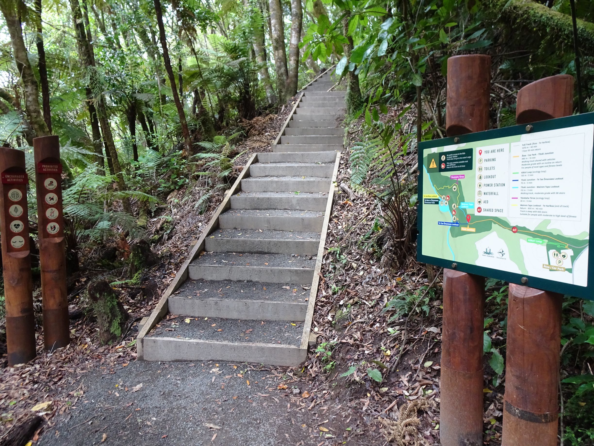 Te Rere o Ōmanawa/Ōmanawa Falls (Update) | motowalknz
