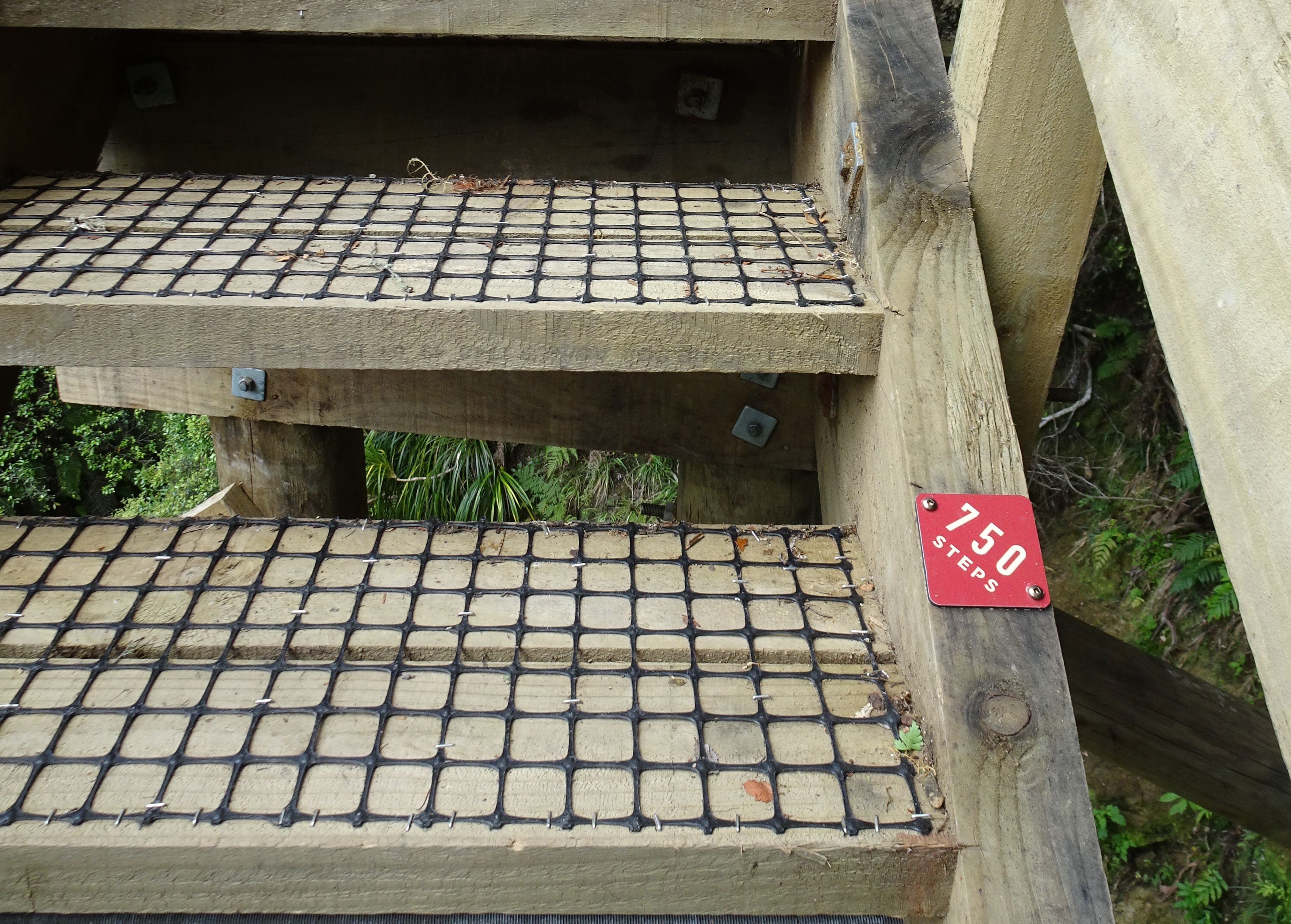 Te Rere o Ōmanawa/Ōmanawa Falls (Update) | motowalknz